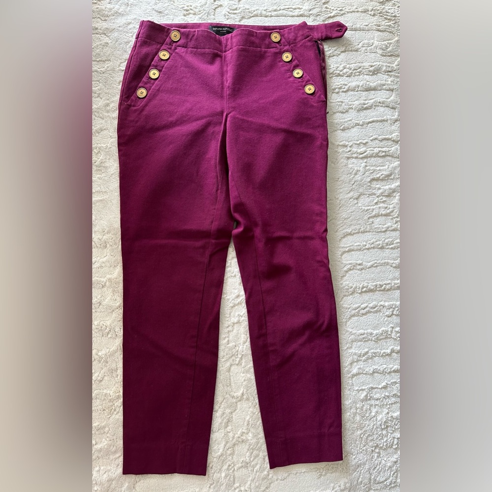 Banana Republic Sloan Pants